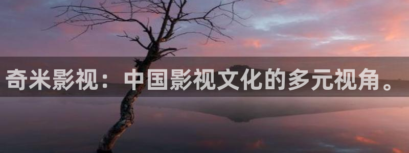 九七電影院六六：奇米影視：中國影視文化的多元視角。