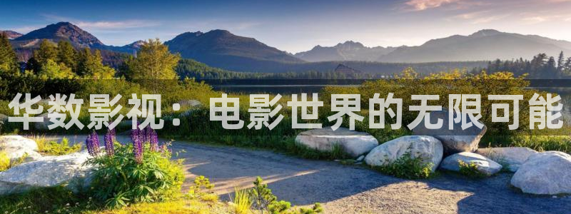 九七電影在線 寫：華數影視：電影世界的無限可能